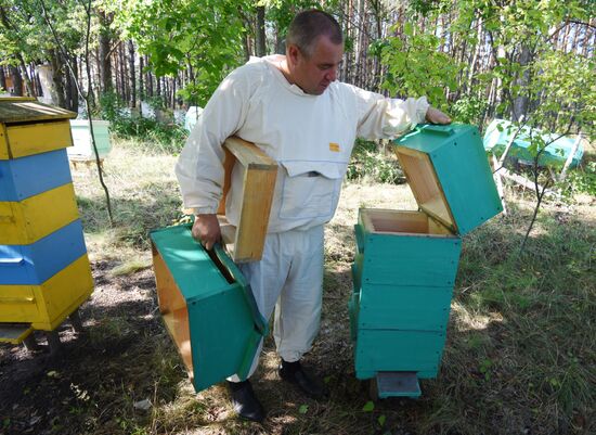 Beekeeper Yevgeny Kotlyarov from Voronezh Region