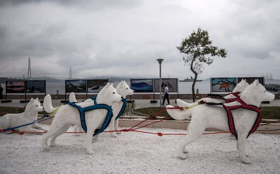 "Far Eastern Street" exhibition opens during the 2017 Eastern Economic Forum