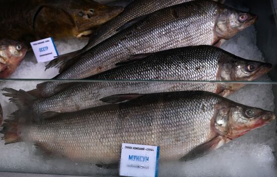 "Far Eastern Street" exhibition opens during the 2017 Eastern Economic Forum