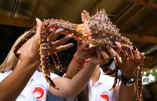 "Far Eastern Street" exhibition opens during the 2017 Eastern Economic Forum