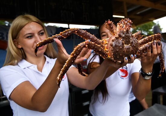 "Far Eastern Street" exhibition opens during the 2017 Eastern Economic Forum