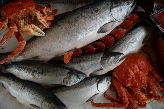 "Far Eastern Street" exhibition opens during the 2017 Eastern Economic Forum