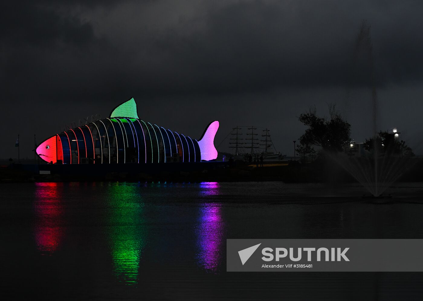 "Far Eastern Street" exhibition opens during the 2017 Eastern Economic Forum