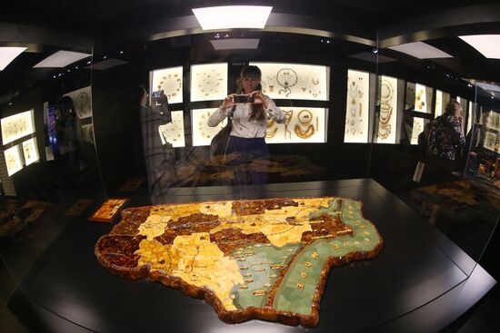 Exhibition hall opened at Amber Chamber Plant