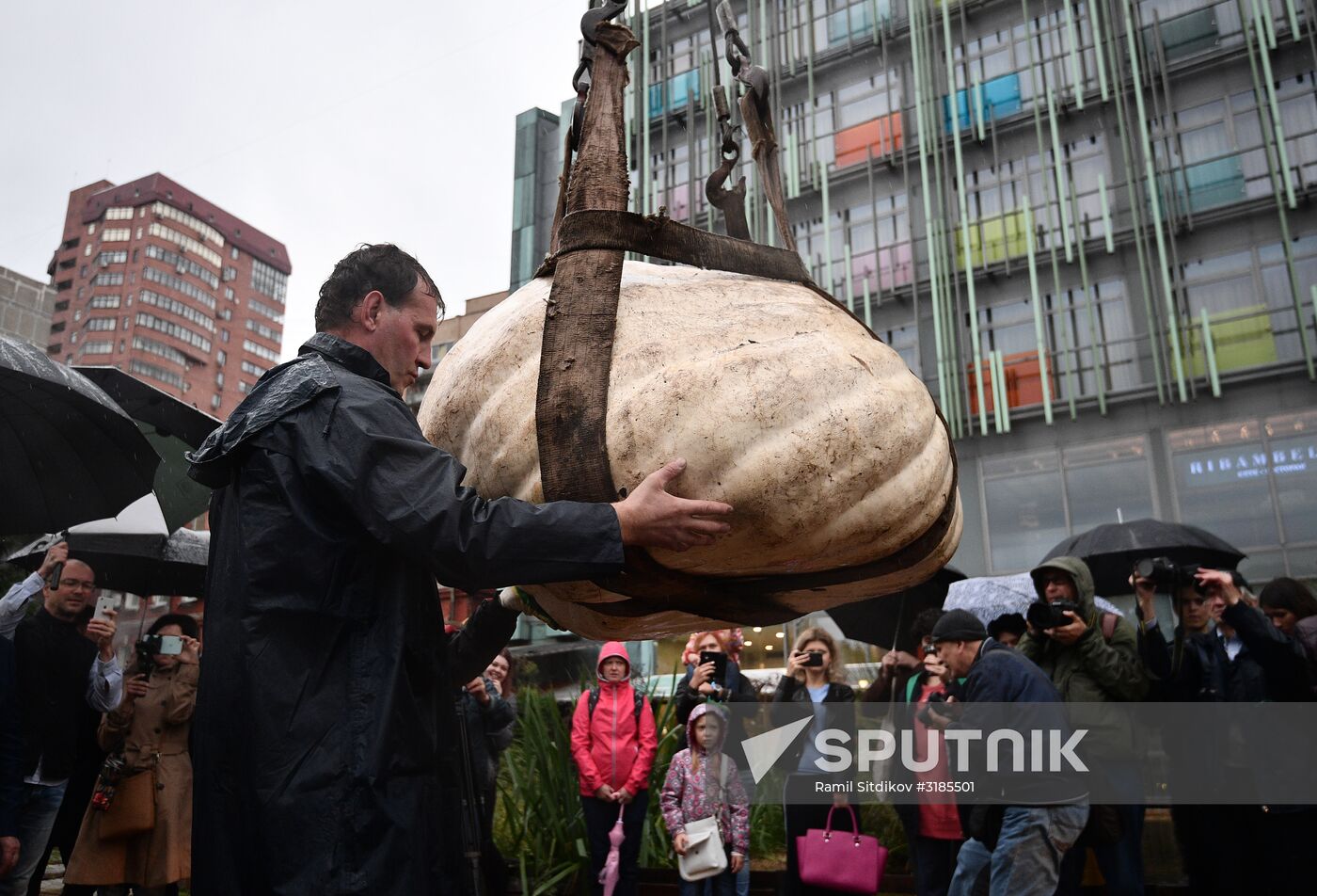 Presentation of Russia's largest pumpkin
