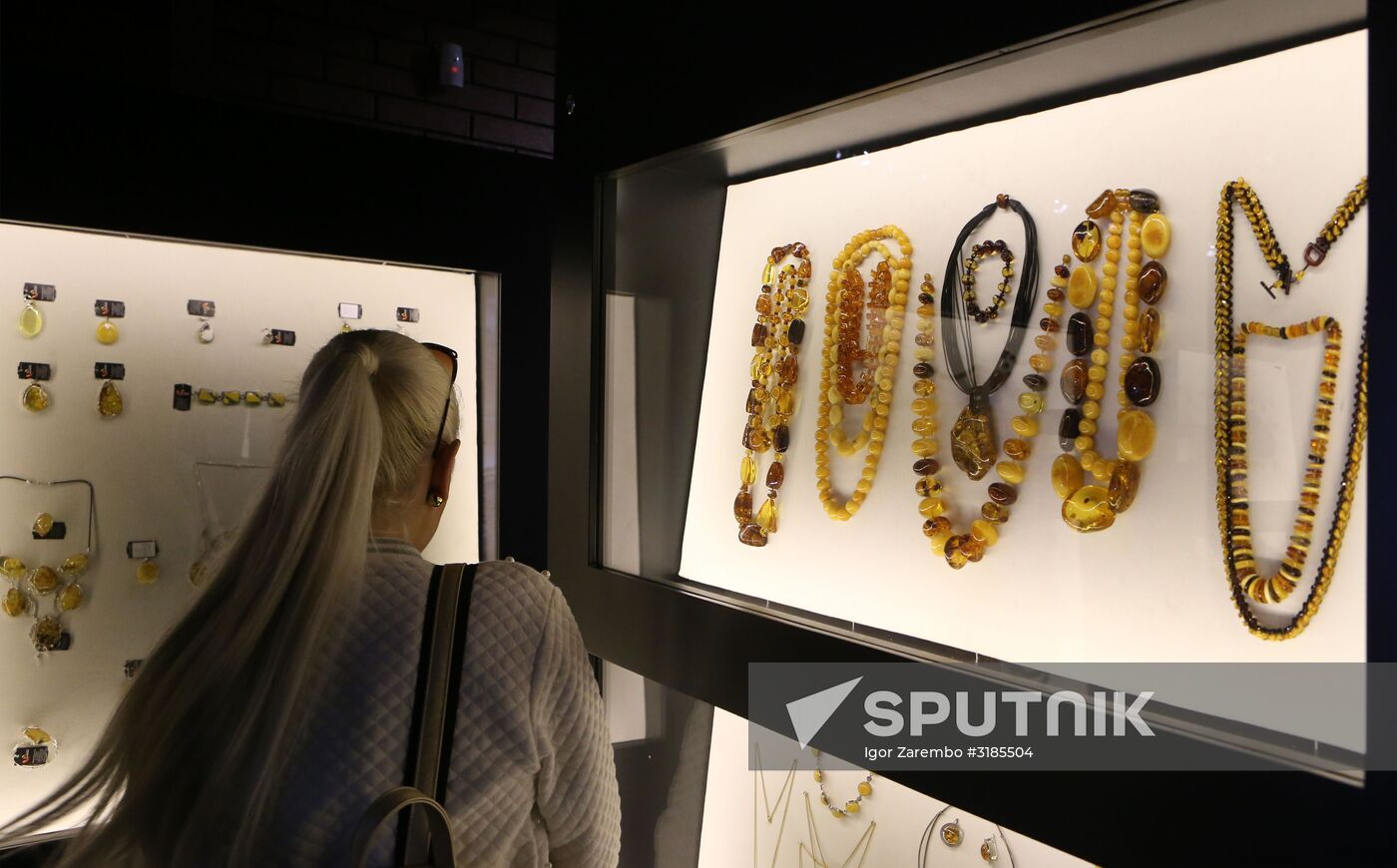 Exhibition hall opened at Amber Chamber Plant