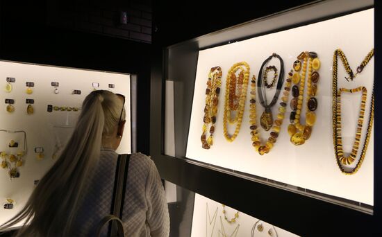 Exhibition hall opened at Amber Chamber Plant