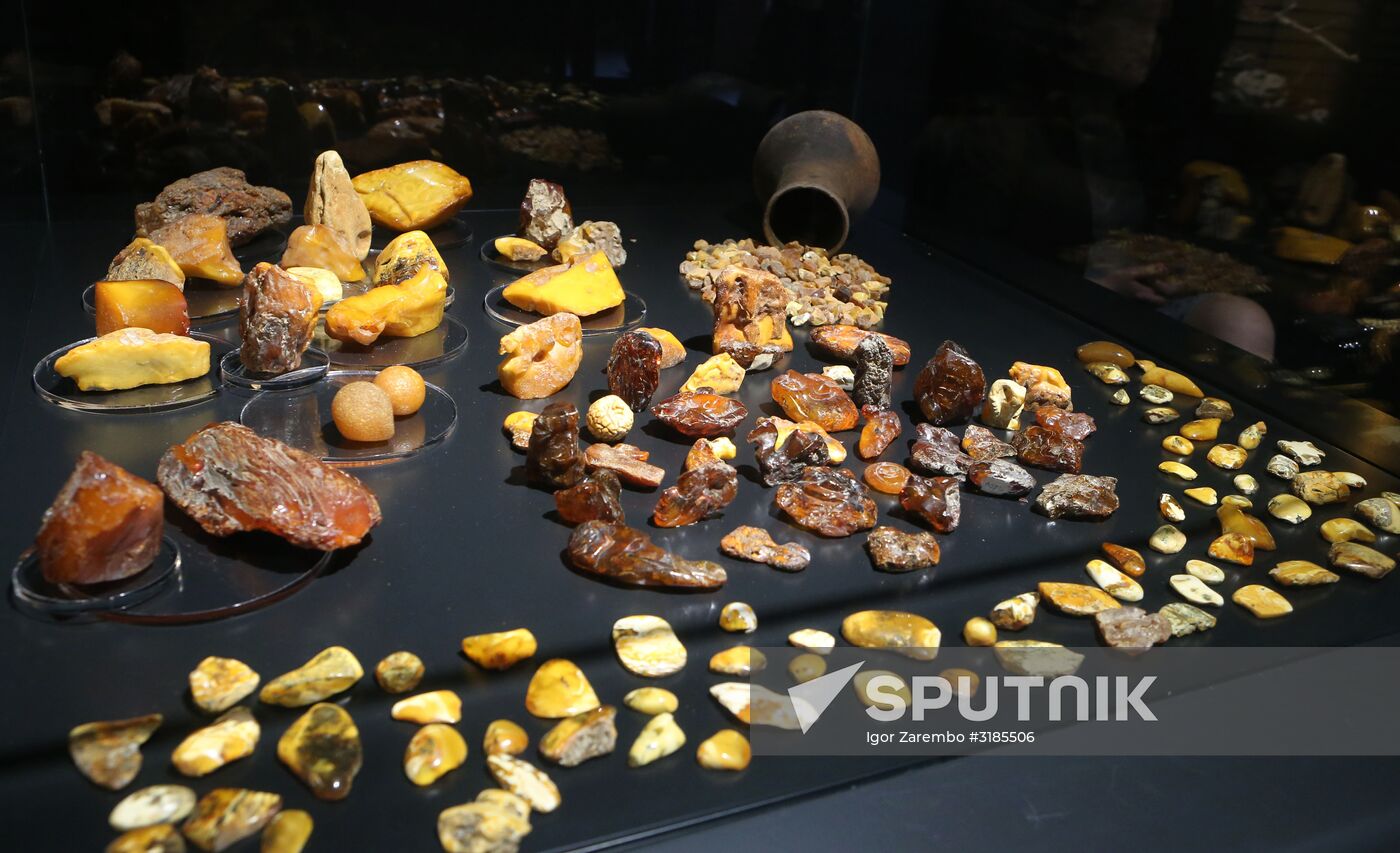 Exhibition hall opened at Amber Chamber Plant