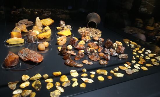 Exhibition hall opened at Amber Chamber Plant