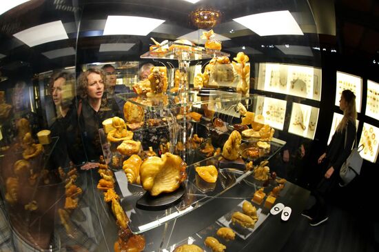 Exhibition hall opened at Amber Chamber Plant