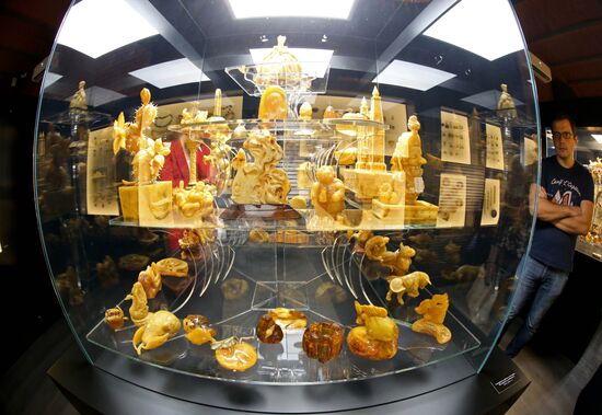 Exhibition hall opened at Amber Chamber Plant
