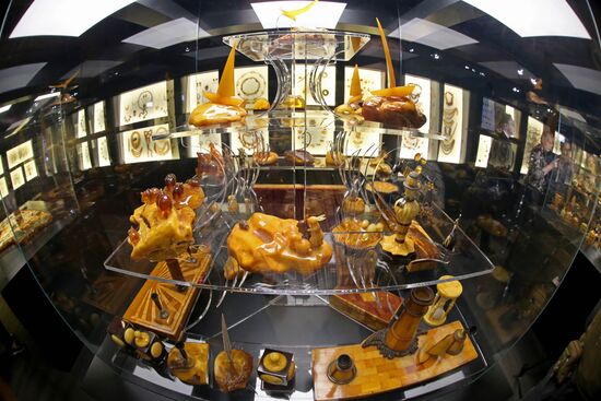 Exhibition hall opened at Amber Chamber Plant