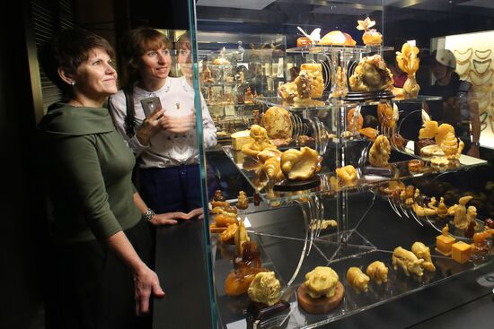Exhibition hall opened at Amber Chamber Plant