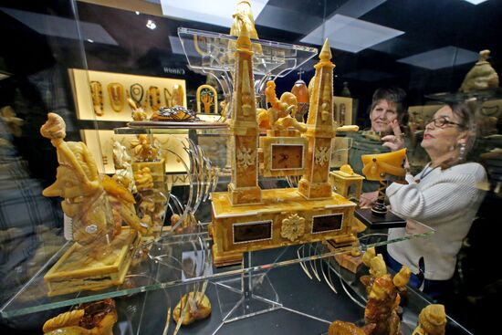 Exhibition hall opened at Amber Chamber Plant