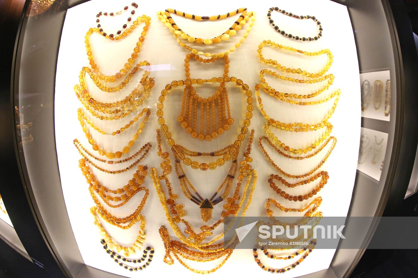 Exhibition hall opened at Amber Chamber Plant