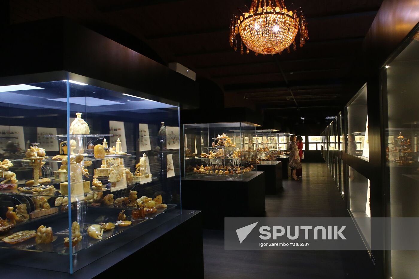 Exhibition hall opened at Amber Chamber Plant