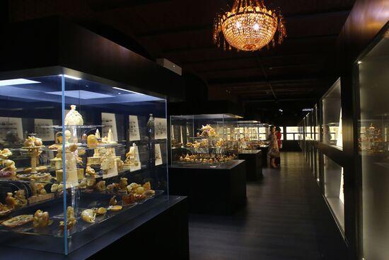 Exhibition hall opened at Amber Chamber Plant