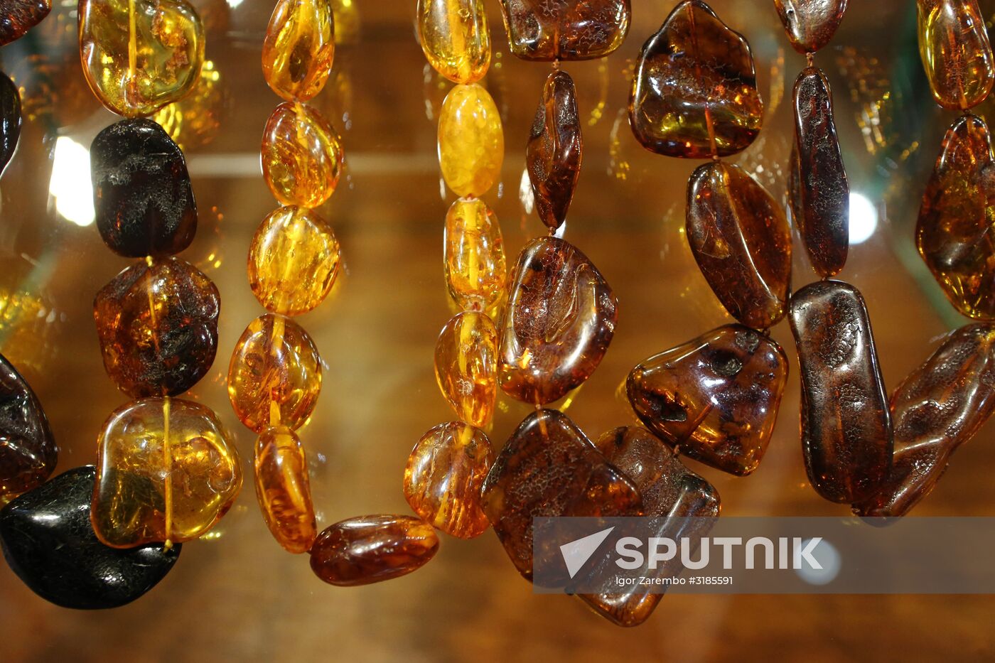 Exhibition hall opened at Amber Chamber Plant