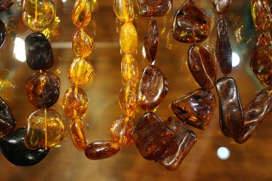 Exhibition hall opened at Amber Chamber Plant