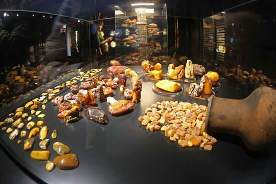 Exhibition hall opened at Amber Chamber Plant