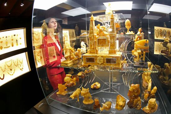 Exhibition hall opened at Amber Chamber Plant