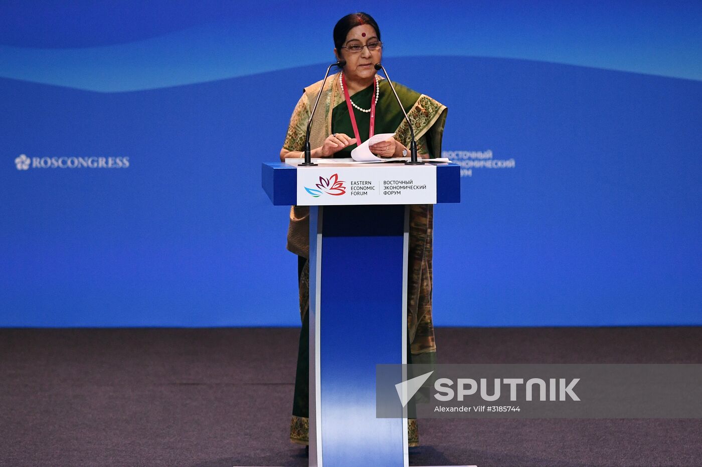 Eastern Economic Forum. Day one