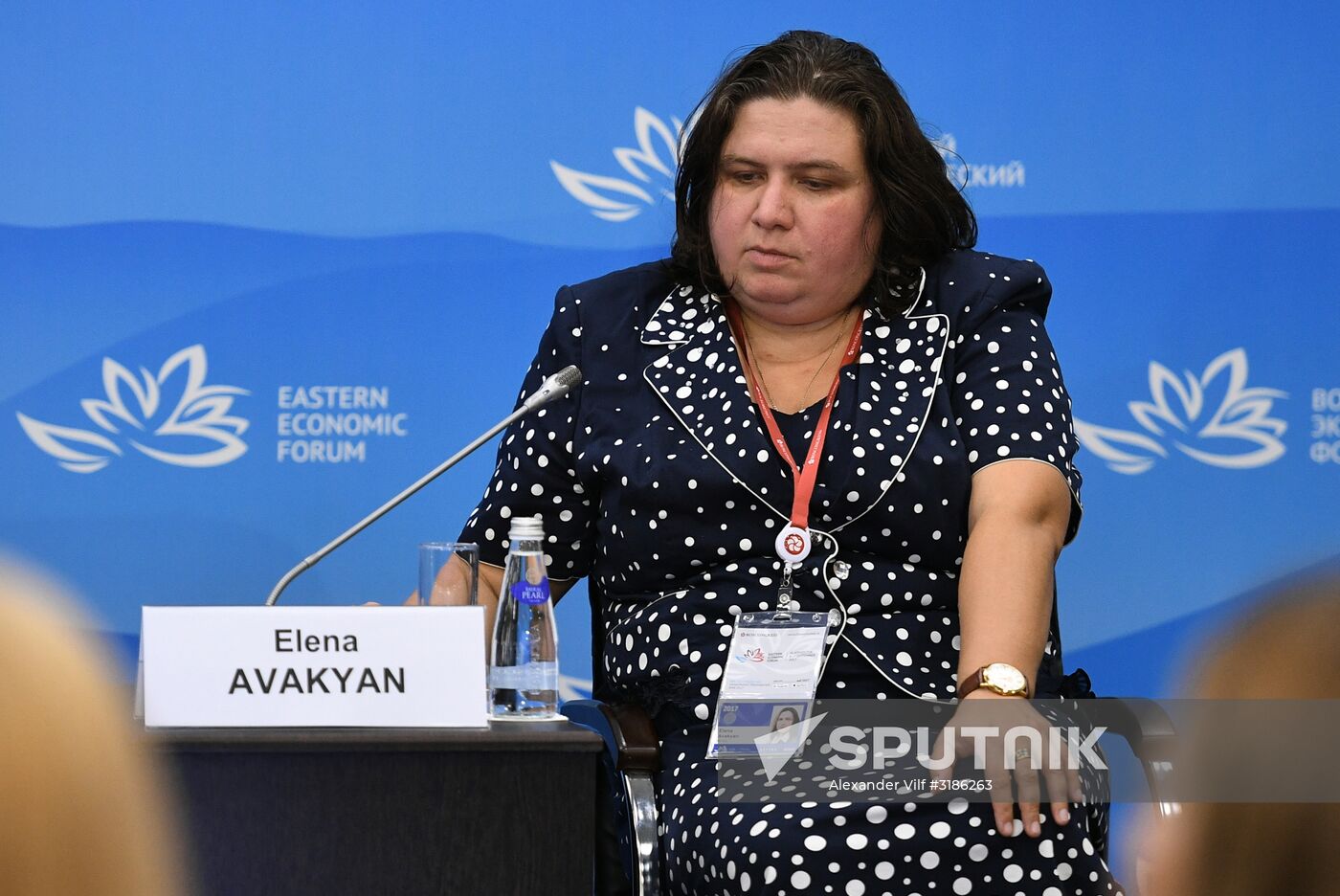 Eastern Economic Forum. Day one