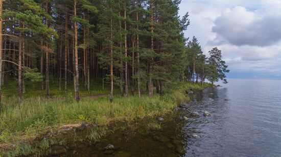Lake Onega in Karelia