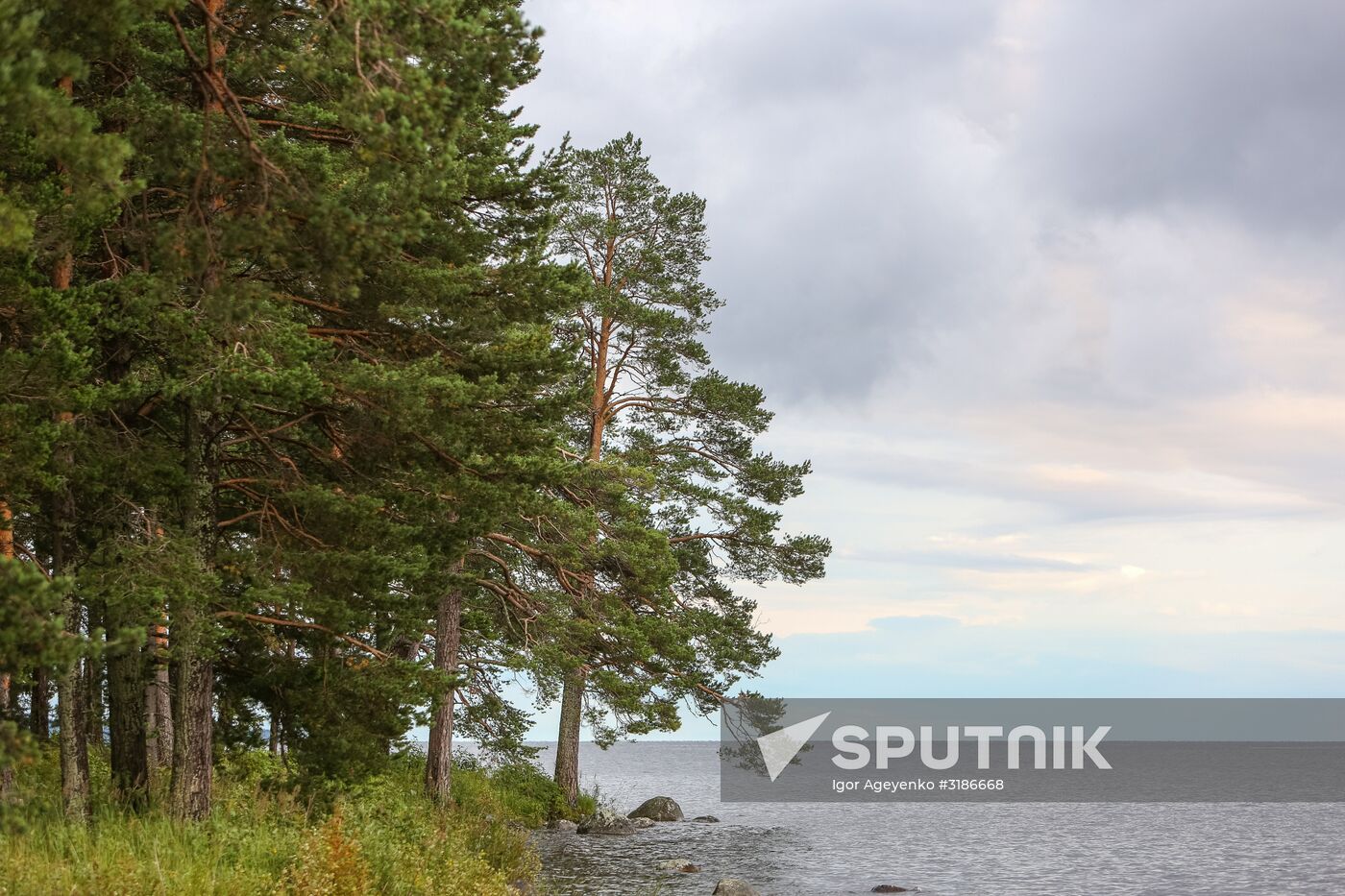 Lake Onega in Karelia