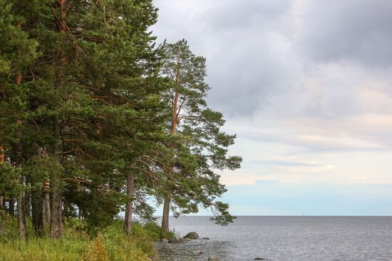 Lake Onega in Karelia