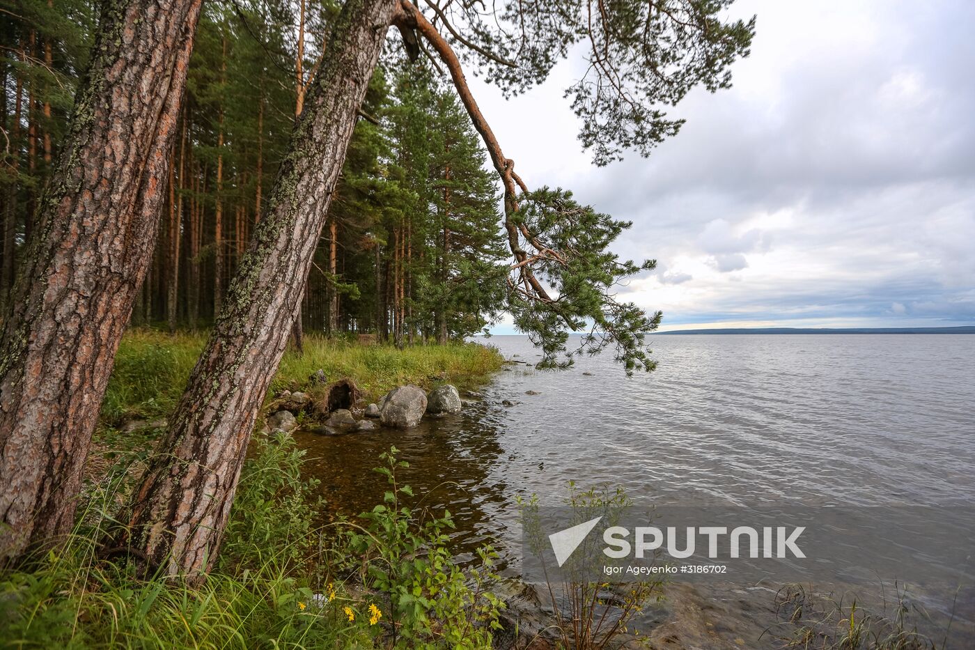 Onega Lake in Karelia