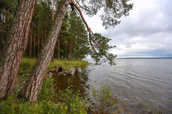 Onega Lake in Karelia