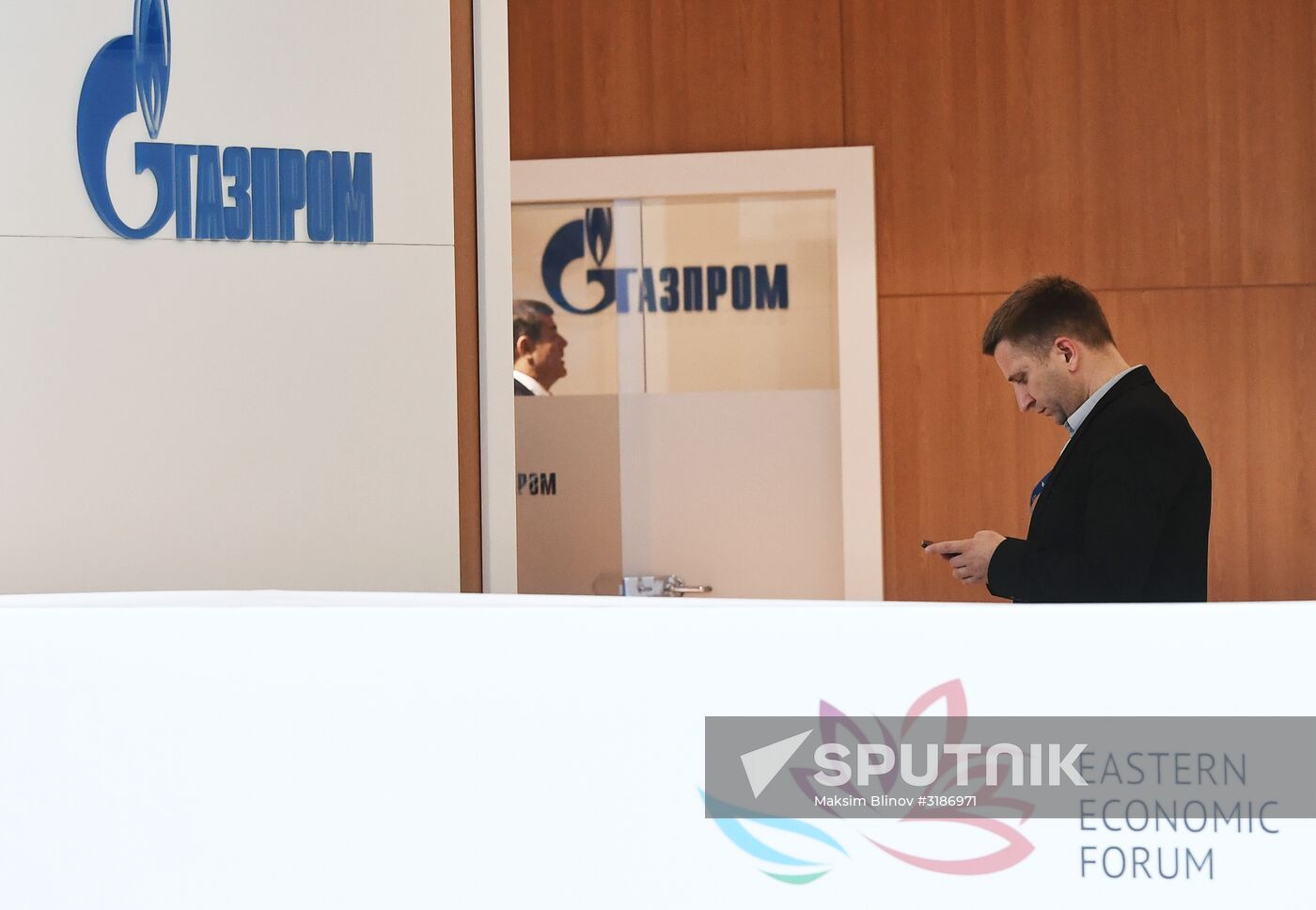 Eastern Economic Forum. Day Two