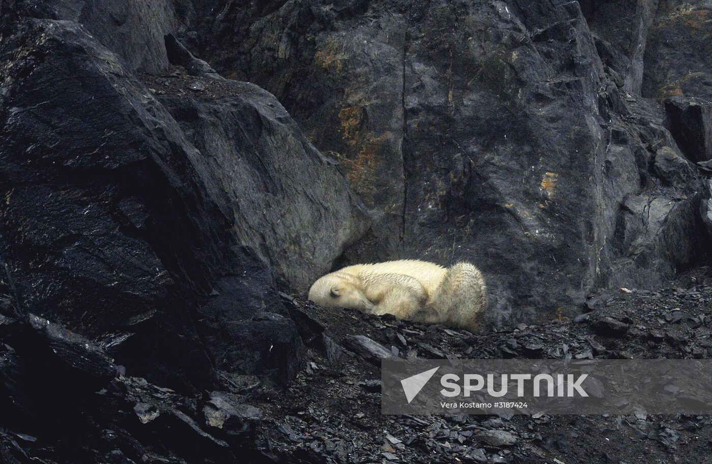 Nature of Chukotka