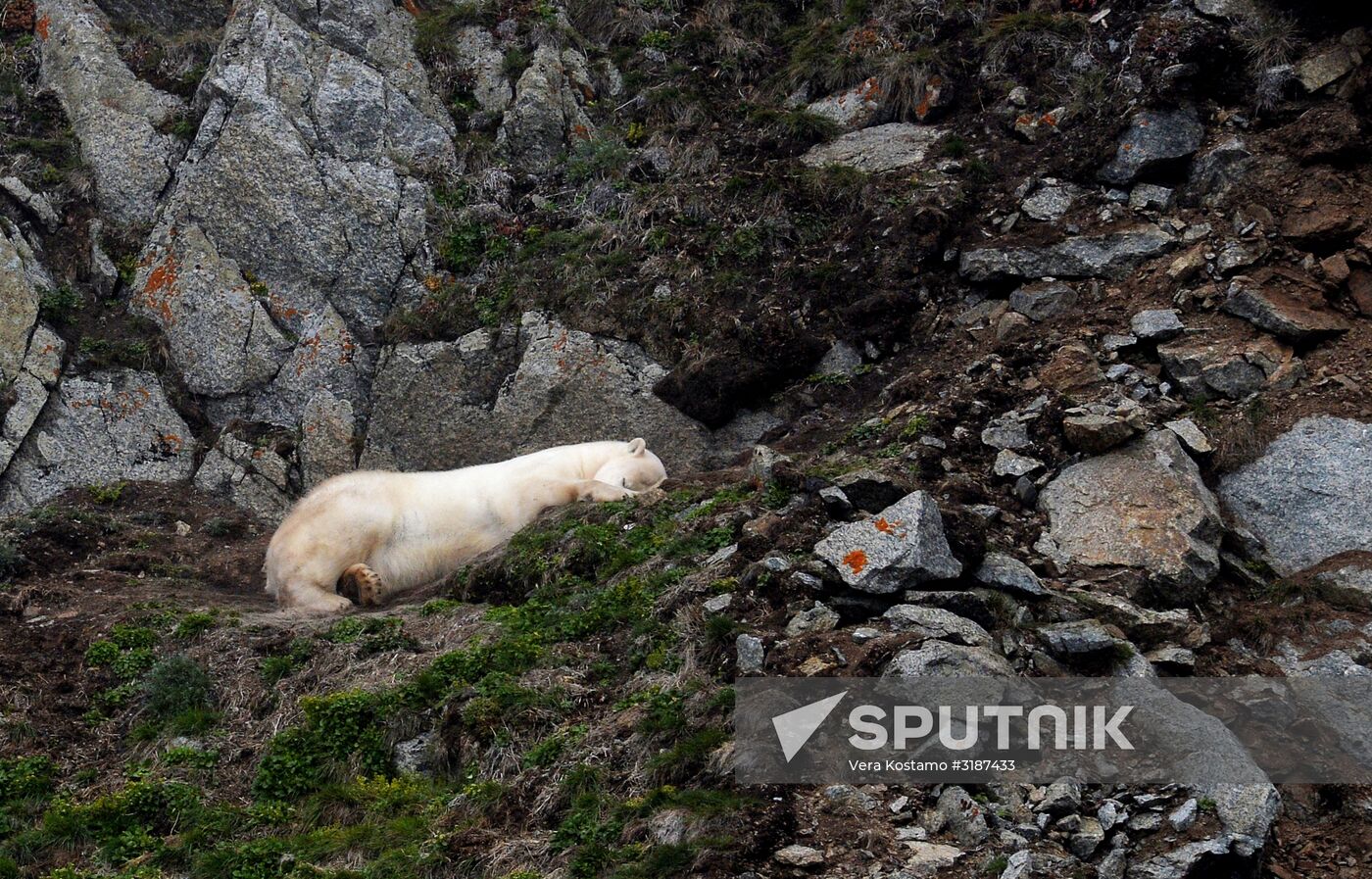 Nature of Chukotka