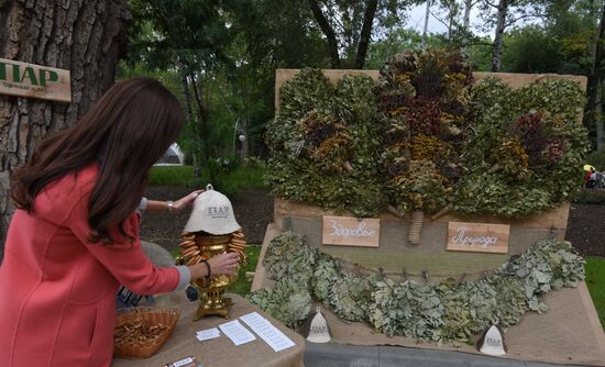 Voronezh City Garden 2017 international exhibition