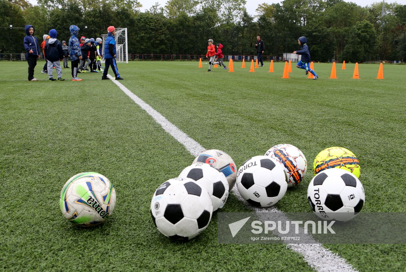 Training site for World Cup 2018 participating teams in Kaliningrad