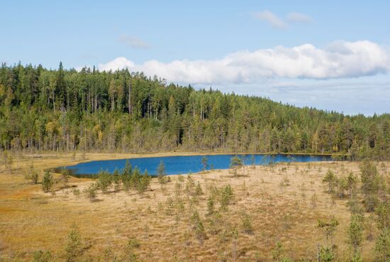 Russian regions. Karelia
