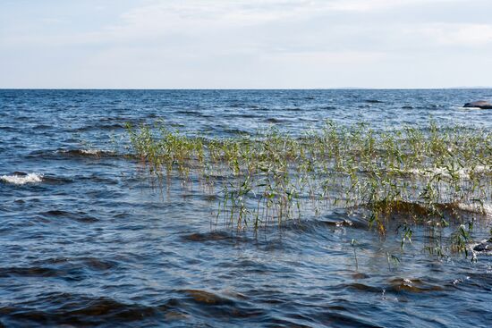 Russian regions. Karelia