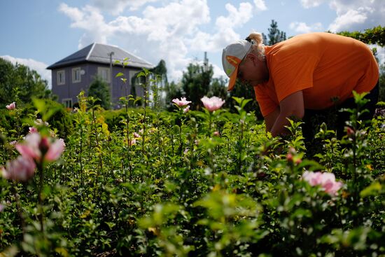 Plant nursery in Krasnodar Territory