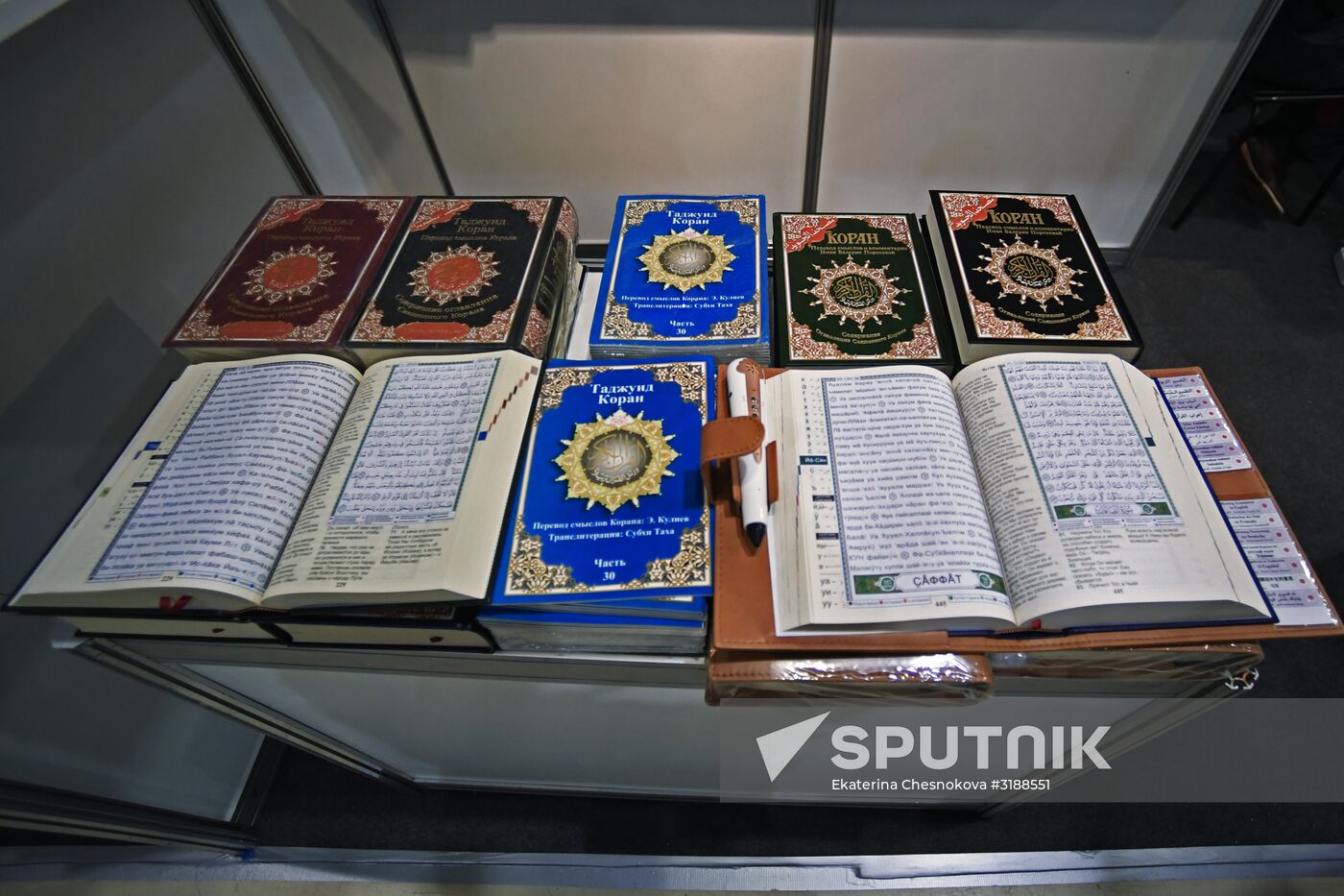 30th Moscow International Book Fair. Day three