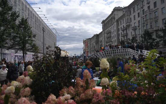 City Day celebration in Moscow