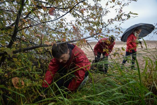 Garbage removal at Lake Baikal's water area and shores
