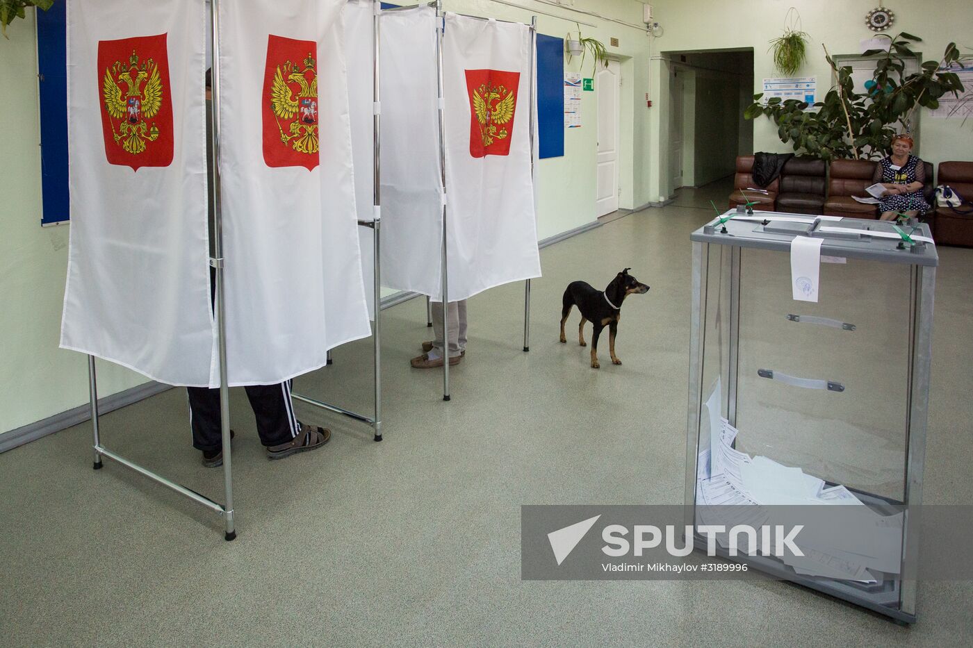 Single election day in Russia's cities