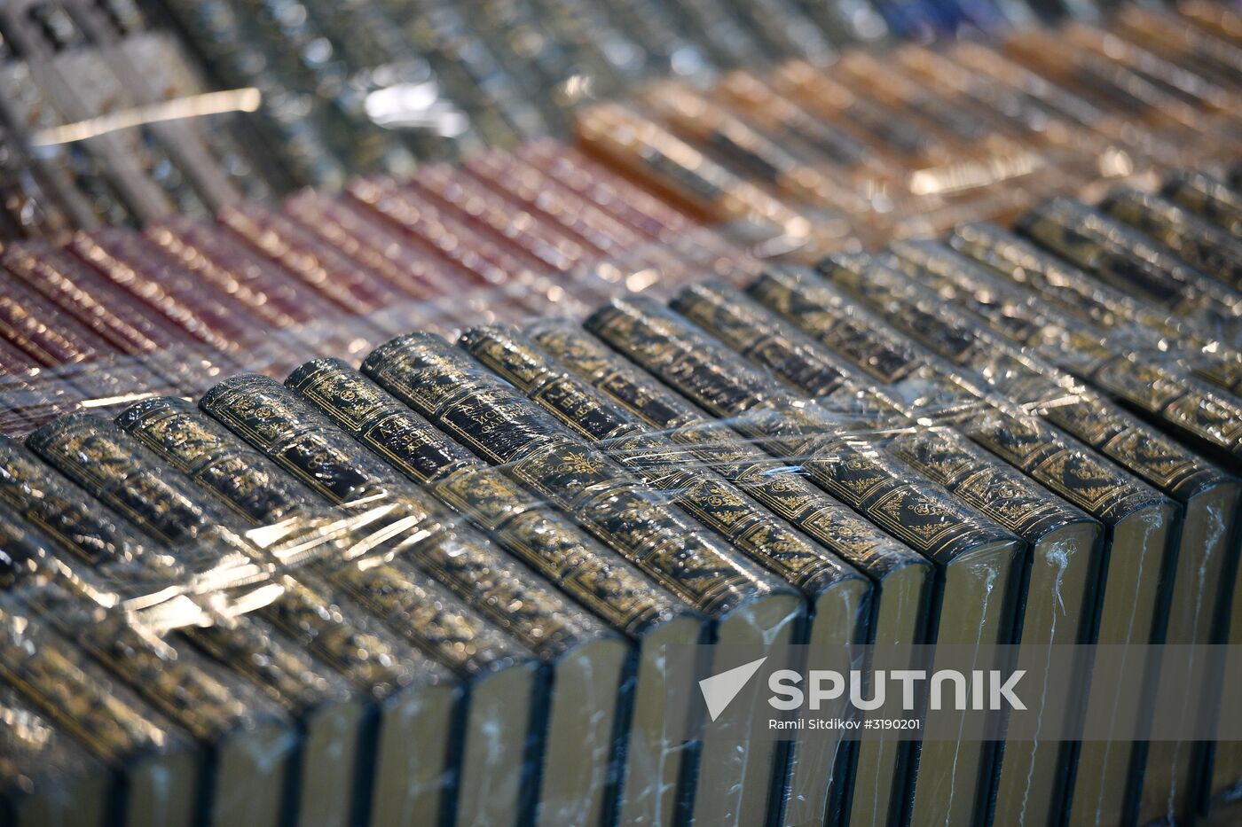 30th Moscow International Book Fair. Day five