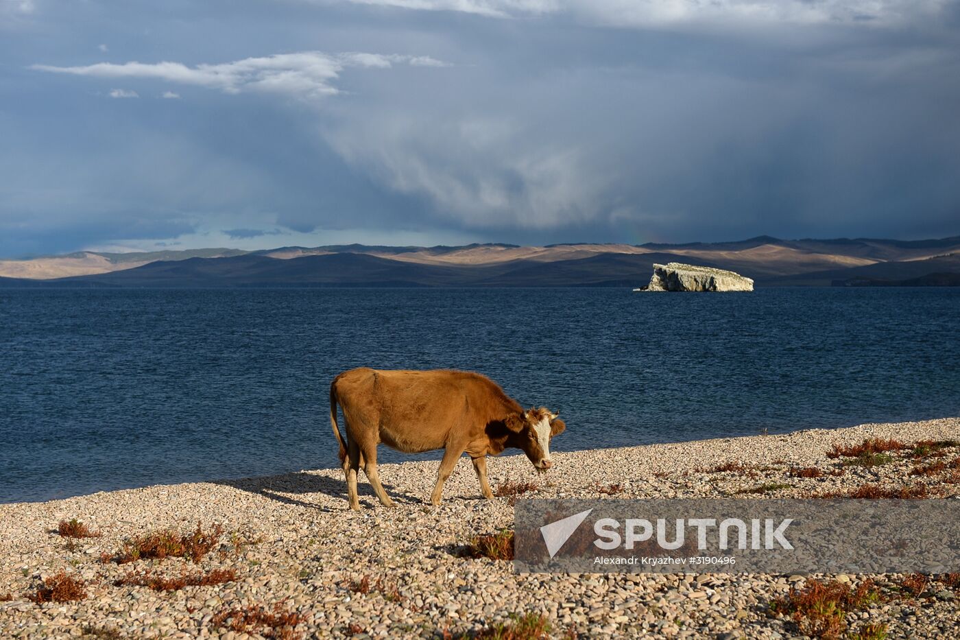 Garbage removal at Lake Baikal's water area and shores