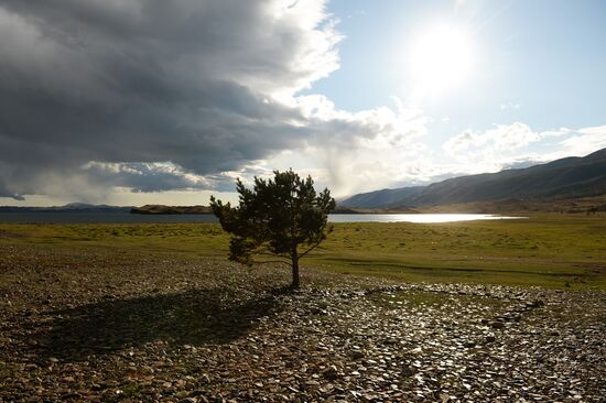 Garbage removal at Lake Baikal's water area and shores