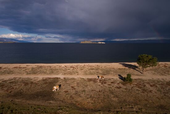 Garbage removal at Lake Baikal's water area and shores
