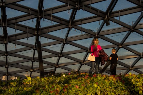 Zaryadye Park opens in Moscow