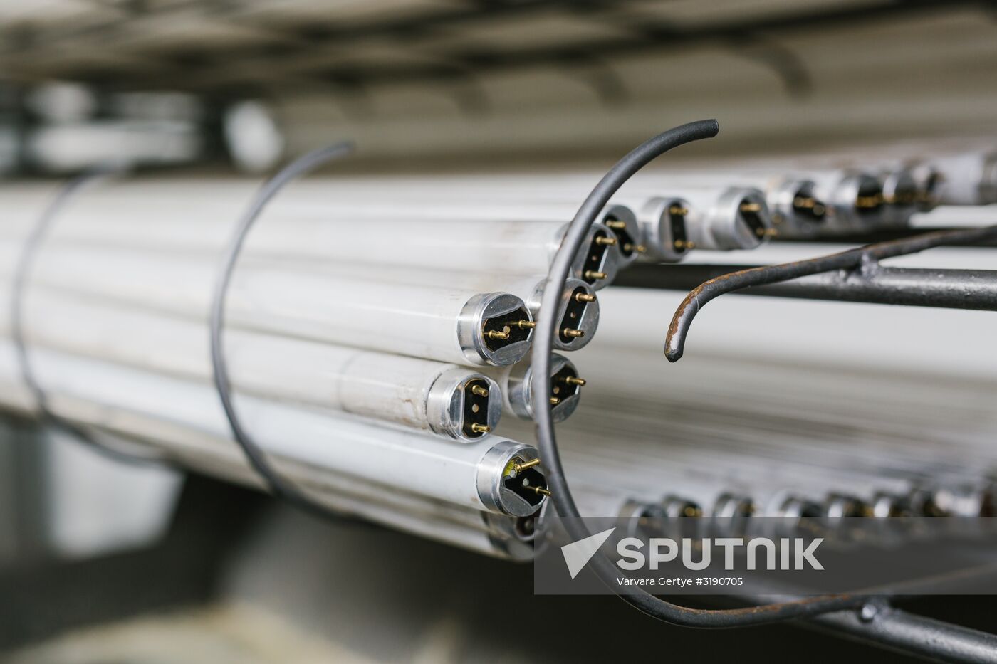 Fluorescent lamp disposal plant in Ivanovo
